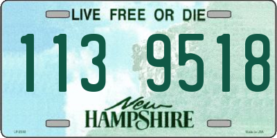 NH license plate 1139518