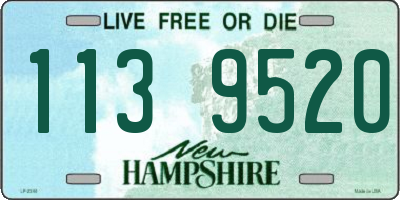 NH license plate 1139520