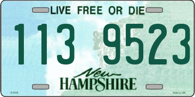 NH license plate 1139523