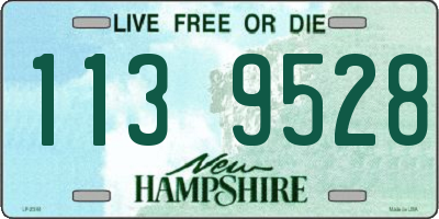 NH license plate 1139528