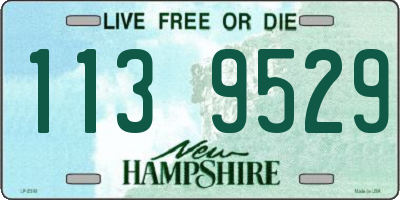 NH license plate 1139529