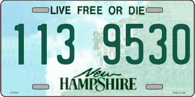 NH license plate 1139530