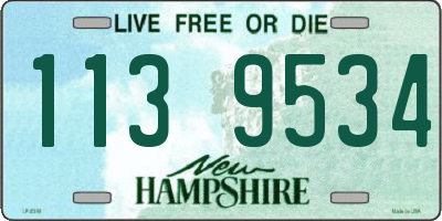 NH license plate 1139534