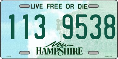 NH license plate 1139538