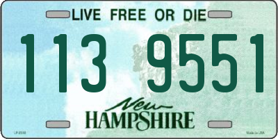 NH license plate 1139551
