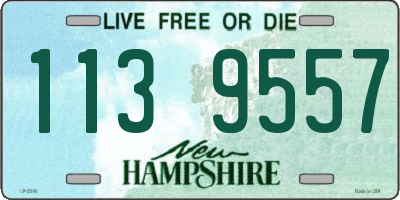 NH license plate 1139557