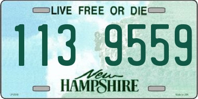 NH license plate 1139559