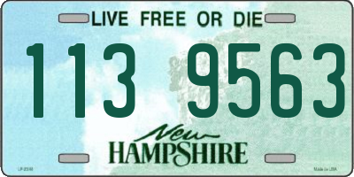 NH license plate 1139563