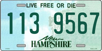 NH license plate 1139567