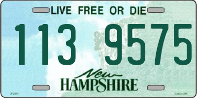 NH license plate 1139575