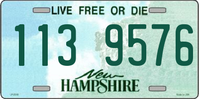 NH license plate 1139576