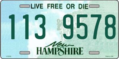 NH license plate 1139578