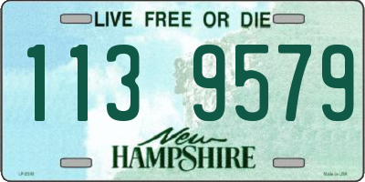 NH license plate 1139579