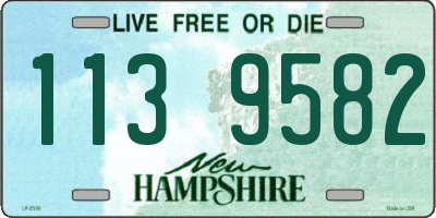 NH license plate 1139582