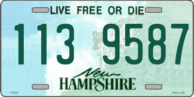 NH license plate 1139587