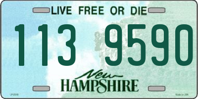 NH license plate 1139590