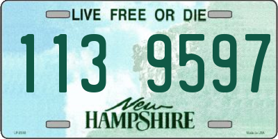NH license plate 1139597