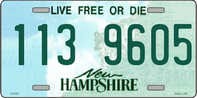 NH license plate 1139605