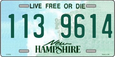 NH license plate 1139614