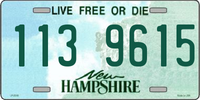 NH license plate 1139615
