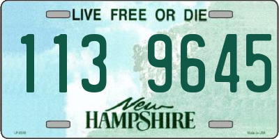 NH license plate 1139645