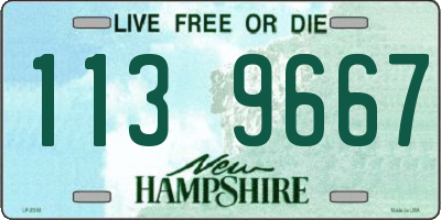 NH license plate 1139667