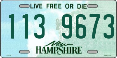 NH license plate 1139673