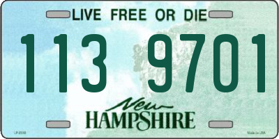 NH license plate 1139701