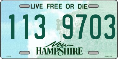 NH license plate 1139703