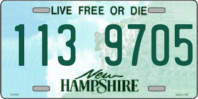 NH license plate 1139705