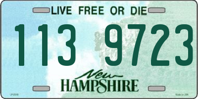 NH license plate 1139723