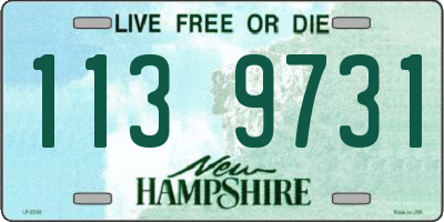 NH license plate 1139731