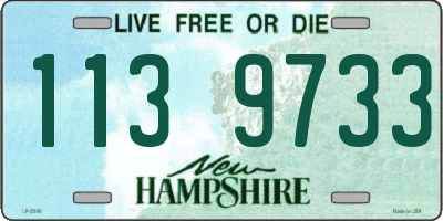 NH license plate 1139733