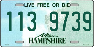 NH license plate 1139739