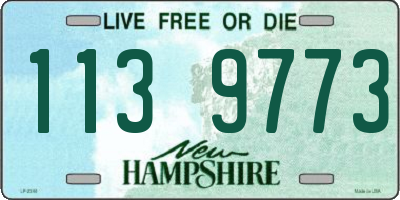 NH license plate 1139773