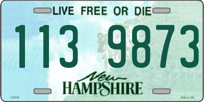 NH license plate 1139873