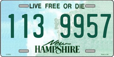 NH license plate 1139957