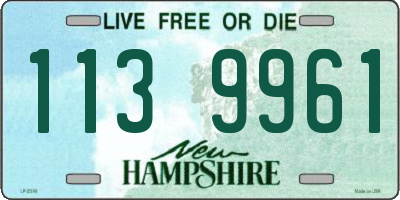 NH license plate 1139961