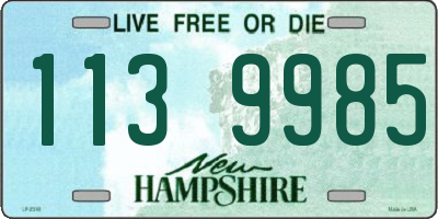 NH license plate 1139985