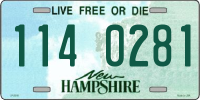 NH license plate 1140281