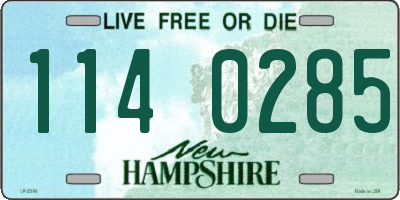NH license plate 1140285