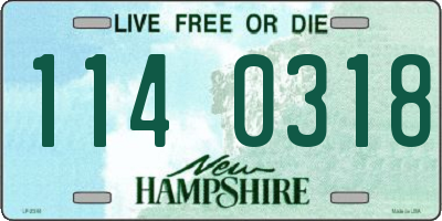 NH license plate 1140318