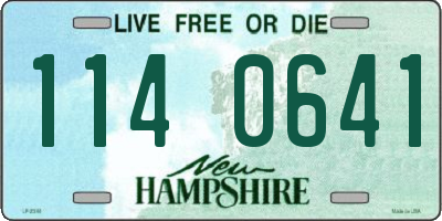 NH license plate 1140641