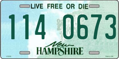 NH license plate 1140673