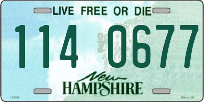 NH license plate 1140677