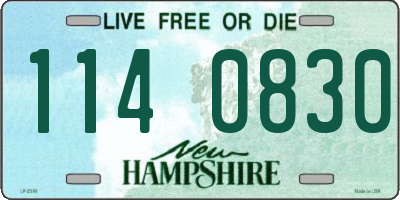 NH license plate 1140830