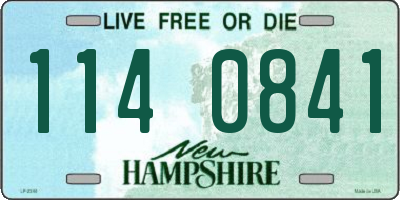 NH license plate 1140841