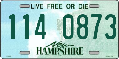 NH license plate 1140873
