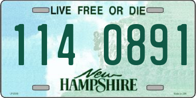 NH license plate 1140891