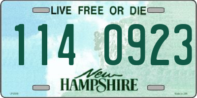 NH license plate 1140923